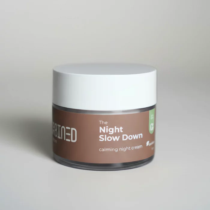 The Night Slow down The Night Slow down